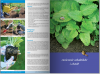 KATALOG BYLIN II Kwiaty, trawy i paprocie